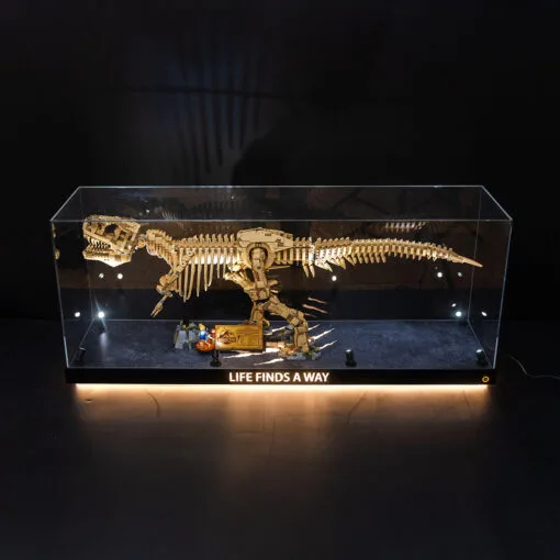 LED Display Case for LEGO 76968 Dinosaur Fossils: T. rex | J.WOO