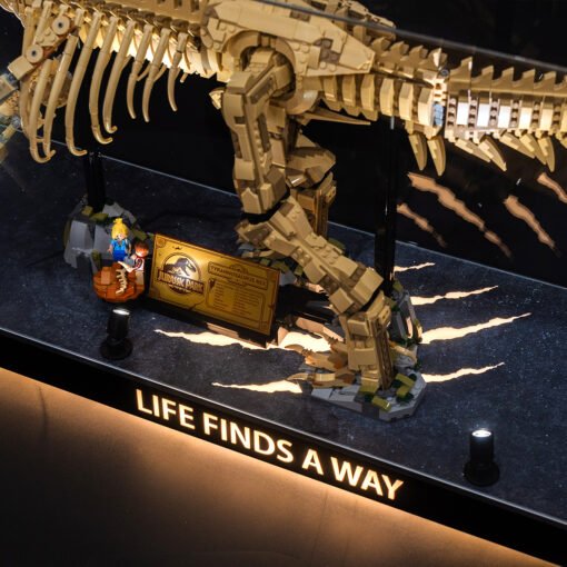 LED Display Case for LEGO 76968 Dinosaur Fossils: T. rex - Image 17